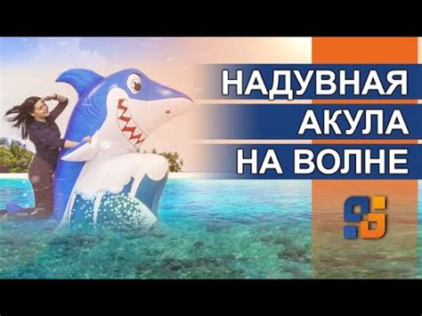 Надувная фигура АКУЛА НА ВОЛНЕ! - YouTube
