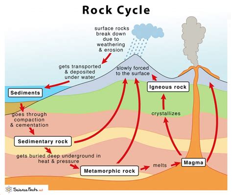 Rock Cycle – Definition, Steps, Importance, Diagram