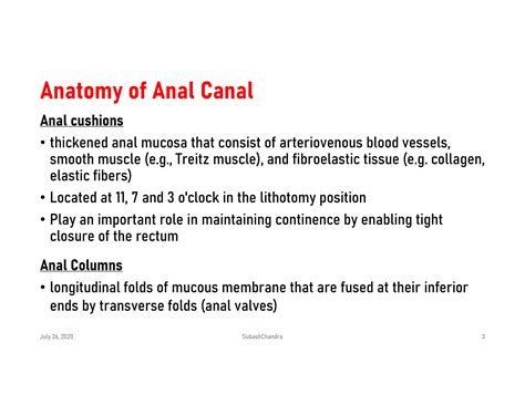 Anal Canal And Haemorrhoids Piles Pdf