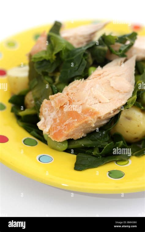 Hot Smoked Salmon Stock Photo Alamy