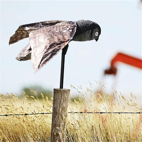 Realistic Plastic Bird Scarer Dynamic Moving Wings Realistic Owl Decoy ...