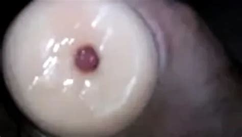 Pocket Pussy XHamster
