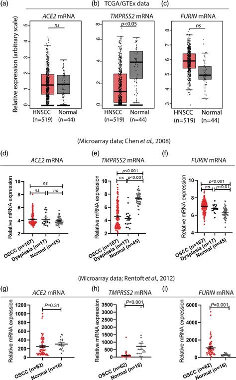 Expression Profile Of Ace Furin And Tmprss In Head And Neck