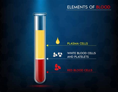 white plasma platelets red blood cells components  blood