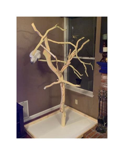 Parrot Tree Etsy