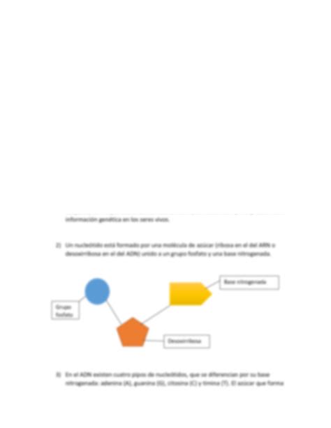 Solution Cidos Nucleicos Studypool