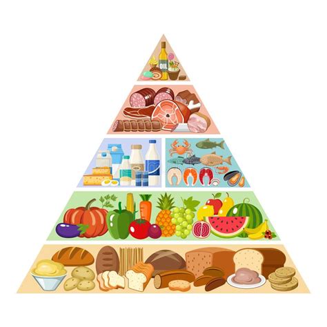 Piramide Alimentare Sana Alimentazione Infografica Illustrazione Vettoriale Illustrazione Di