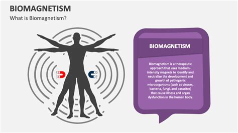 Biomagnetism PowerPoint and Google Slides Template - PPT Slides