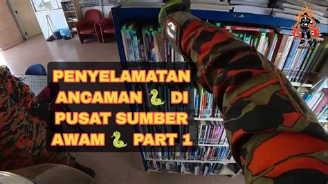 ANCAMAN HAIWAN BERBAHAYA PART 1 YouTube