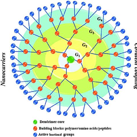 Schematic Representation Of Branched Dendrimers And Their Delivery