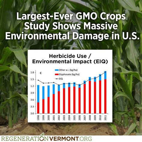 Largest-Ever GMO Crops Study Shows Massive Environmental Damage in US ...