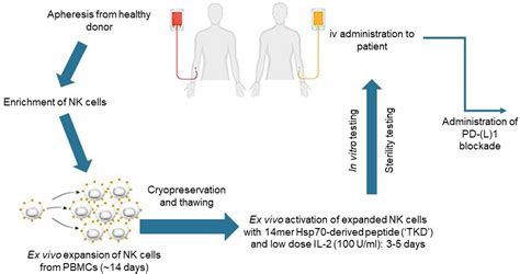 Ap 161™ Allogeneic Nk Cells