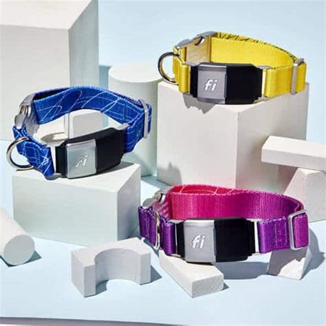 Fi: Smart Dog Collar