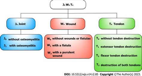 New Classification For Septic Arthritis Of The Hand