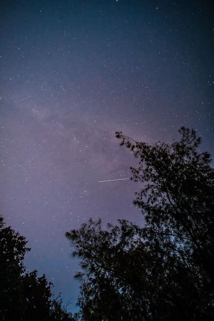 Una Lluvia De Meteoritos En El Cielo Nocturno Foto Premium