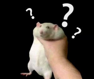 qwertyuiop asdfghjkl bi mat thu vi ve ban phim va cach toi uu toc