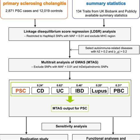 Flow Chart Of The Analytical Workflow In This Study H2 Represents