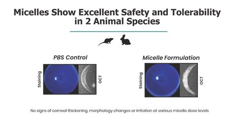 Why is the Binding Moiety on the OptimEyes Micelle so Important? — 20 ...