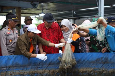 Tumbuhkan Dunia Usaha Gubernur Apresiasi Panen Perdana Udang Vaname