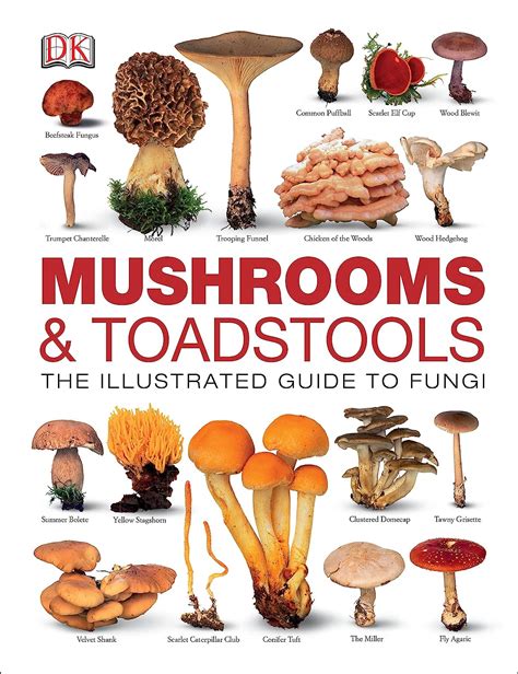 Mushrooms Toadstools The Illustrated Guide To Fungi Dk Amazon De