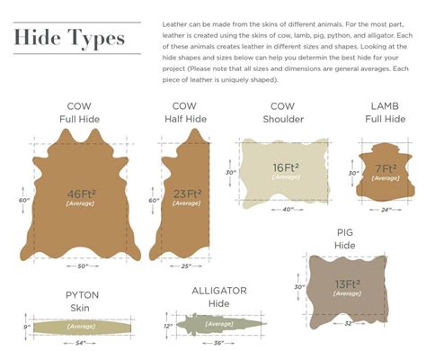 Leather Buying Guide Infographic From District Leathers