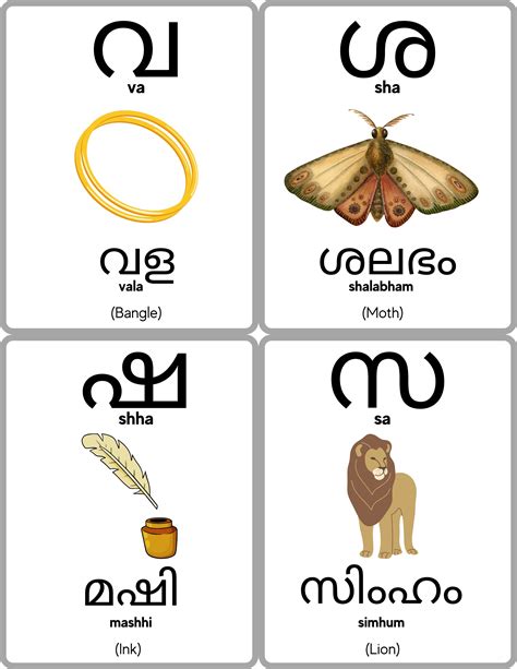 Malayalam Alphabet Flashcards Malayalam Consonants Learn Etsy Australia