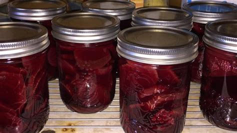 Ball Canning Recipes Pickled Beets | Besto Blog