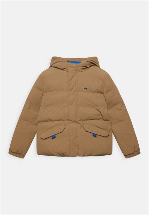 Lacoste Winter Jacket Leafymarinakhaki Zalandoie