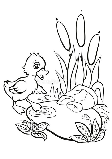 Coloring Duck Pond Stock Illustrations – 141 Coloring Duck Pond Stock ...