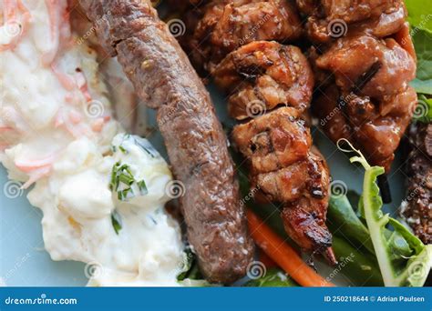 South African Braai Stock Photo Image Of African Braai 250218644