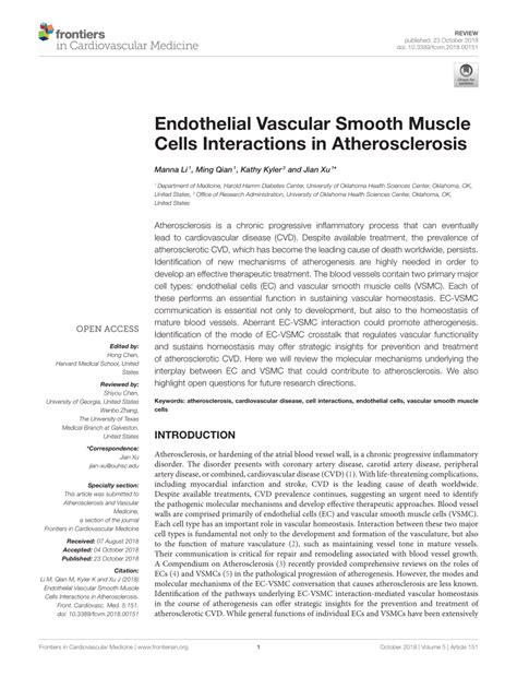 (PDF) Endothelial Vascular Smooth Muscle Cells Interactions in ... 