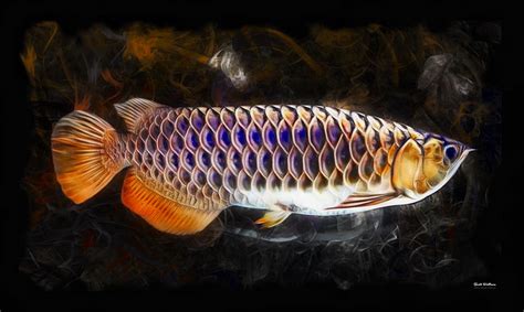 Asian Arowana 2 Digital Art By Scott Wallace Digital Designs