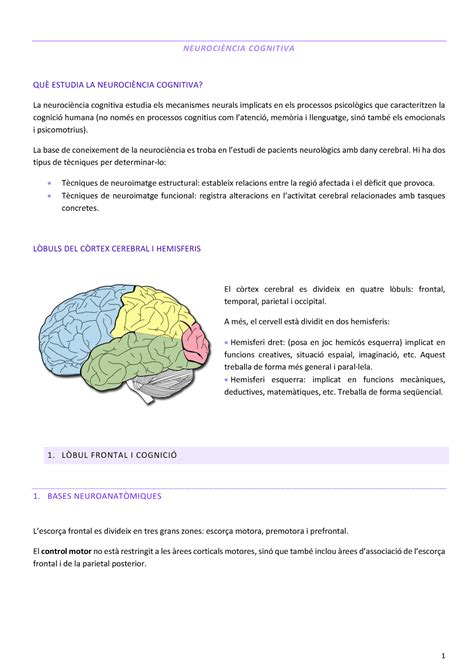 Neurociència cognitiva NEURO CI NCI A CO G NI TI VA QU ESTUDIA LA