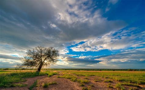 Galería Por qué se dice que Durango tiene el mejor cielo de México