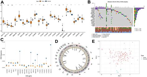 Figure 1 from Integrating machine learning and bioinformatics analysis ... 