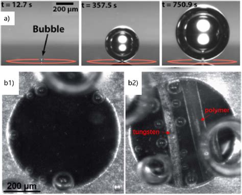 A A Hydrogen Bubble Nucleate And Grow From The Mid Of A Ring Download Scientific Diagram