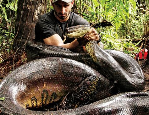 PETA Blasts Discovery’s ‘Eaten Alive’ Over “Inexcusable Torment” of