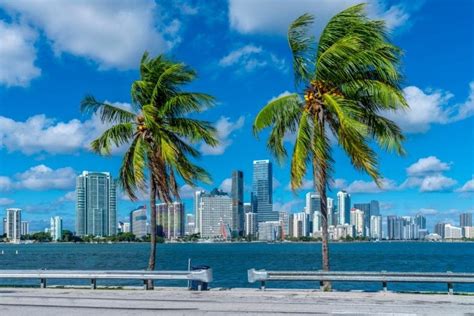 Top Melhores Passeios Em Miami Para Curtir