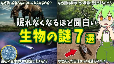 【総集編】眠れなくなるほど面白い生物の謎7選【ずんだもん解説】 Youtube