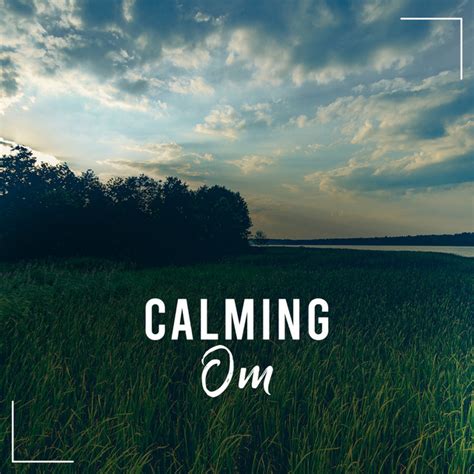 Calming Om Compilation By Various Artists Spotify