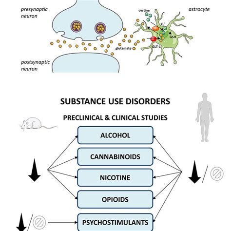 Mechanism of action and summary of N-acetylcysteine effects in... | Download Scientific Diagram