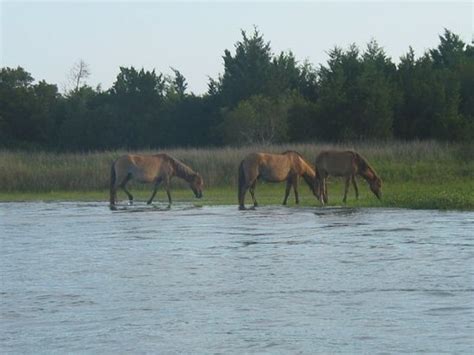 Ranked 6 Of 6 Attractions In Beaufort