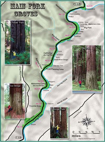 Lost In The Emerald Embrace Navarro River Redwoods State Park