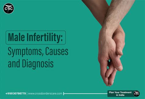 Male Infertility Symptoms Causes And Diagnosis Crossborders Care