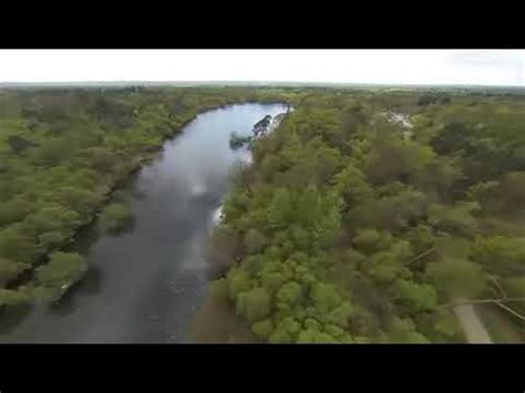 Black Park Lake, Wexham | Allaboutangling.net