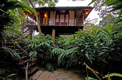 treehouse-hotel | Luxury Travels Worldwide