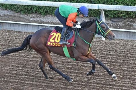 【秋華賞】馬場状態から浮上するのはこの馬だ競馬・レースデイリースポーツ Online