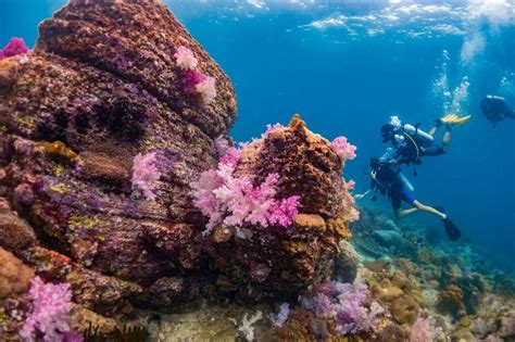 10 Best Snorkeling And Diving Sites In Thailand