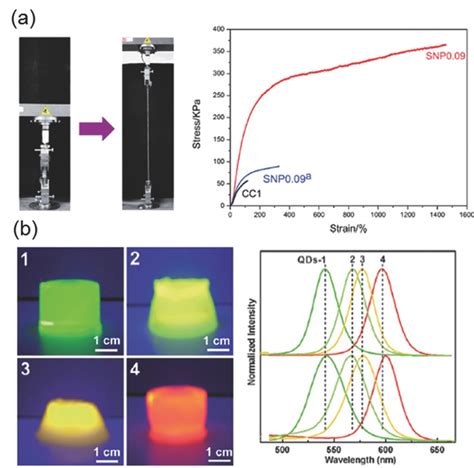 NanoparticleHydrogel Composites Concept Design And Applications Of