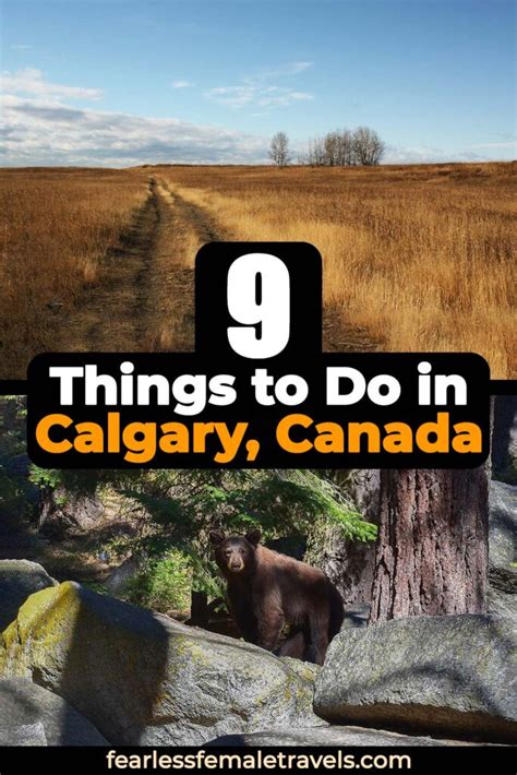 The 9 Calgary Tourist Attractions That You Simply Can’t Miss